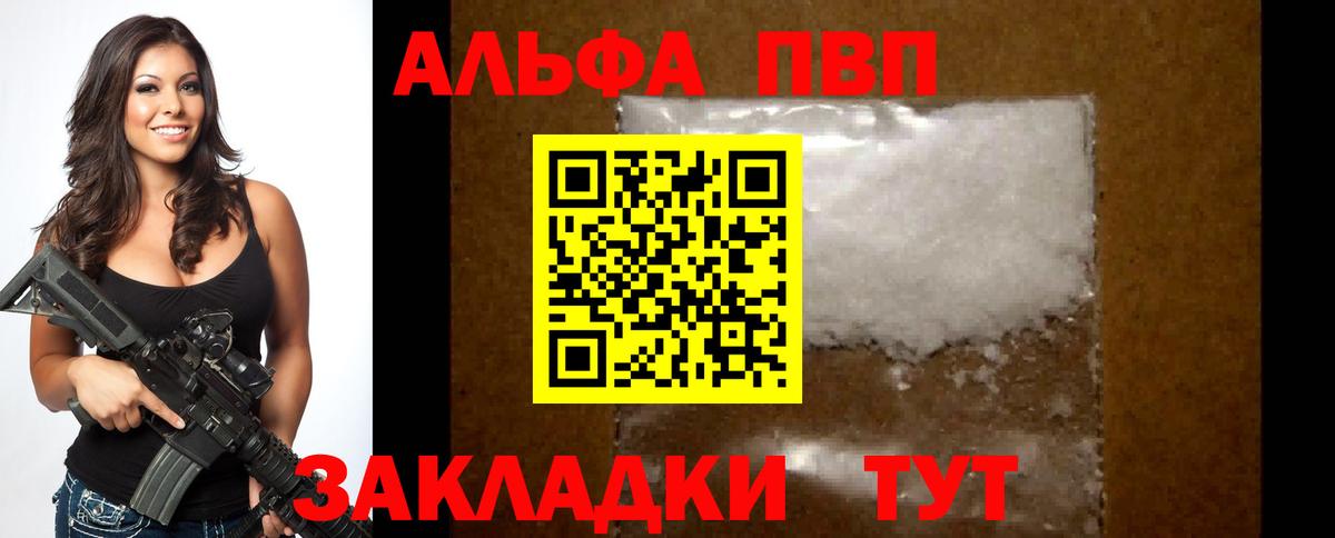 A PVP СК Горно-Алтайск