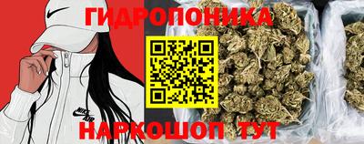 гидра Лениногорск