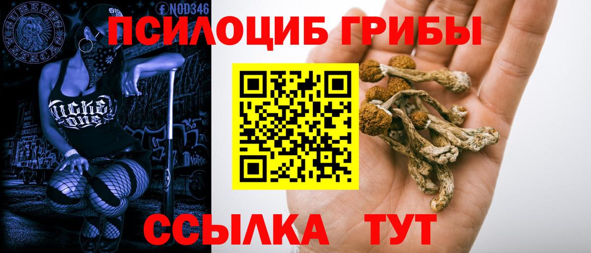 Галлюциногенные грибы MAGIC MUSHROOMS  цена наркотик  Горно-Алтайск  Вход с VPN 